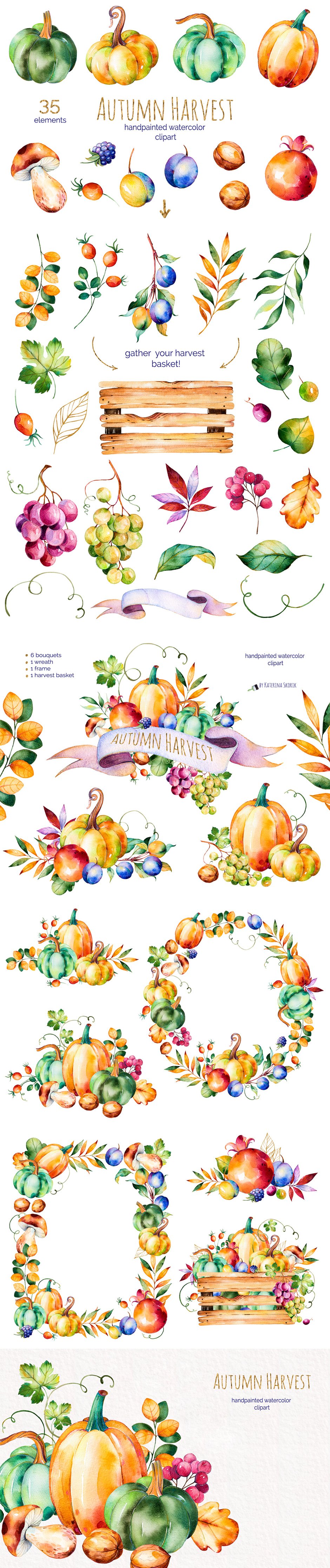 Autumn Harvest: Vibrant Autumn Watercolor Collection