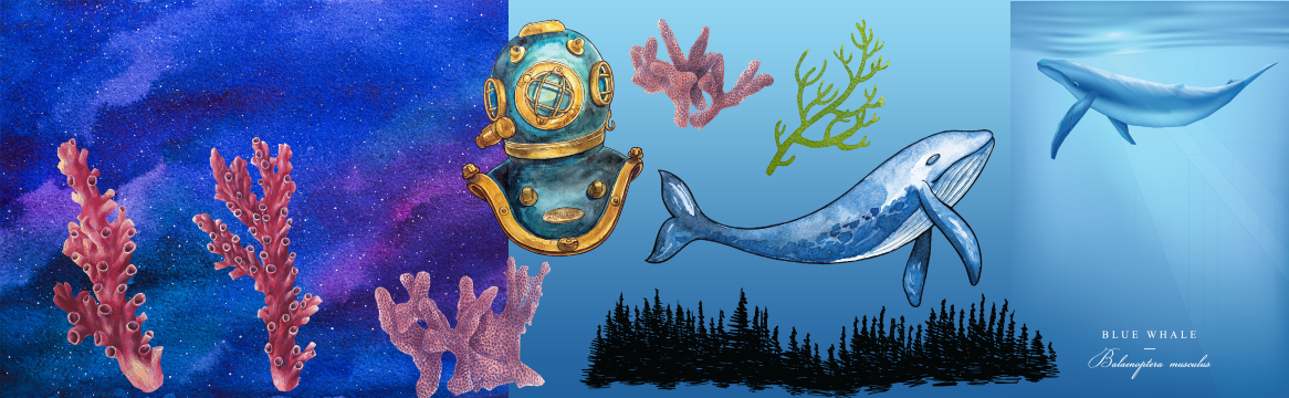 Illustrated, Underwater-themed Vectors and Textures