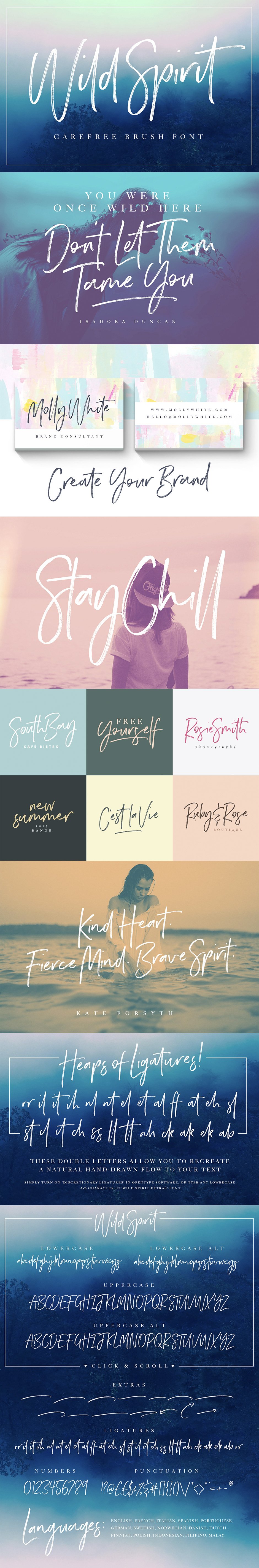 The Essential, Popular Fonts Collection
