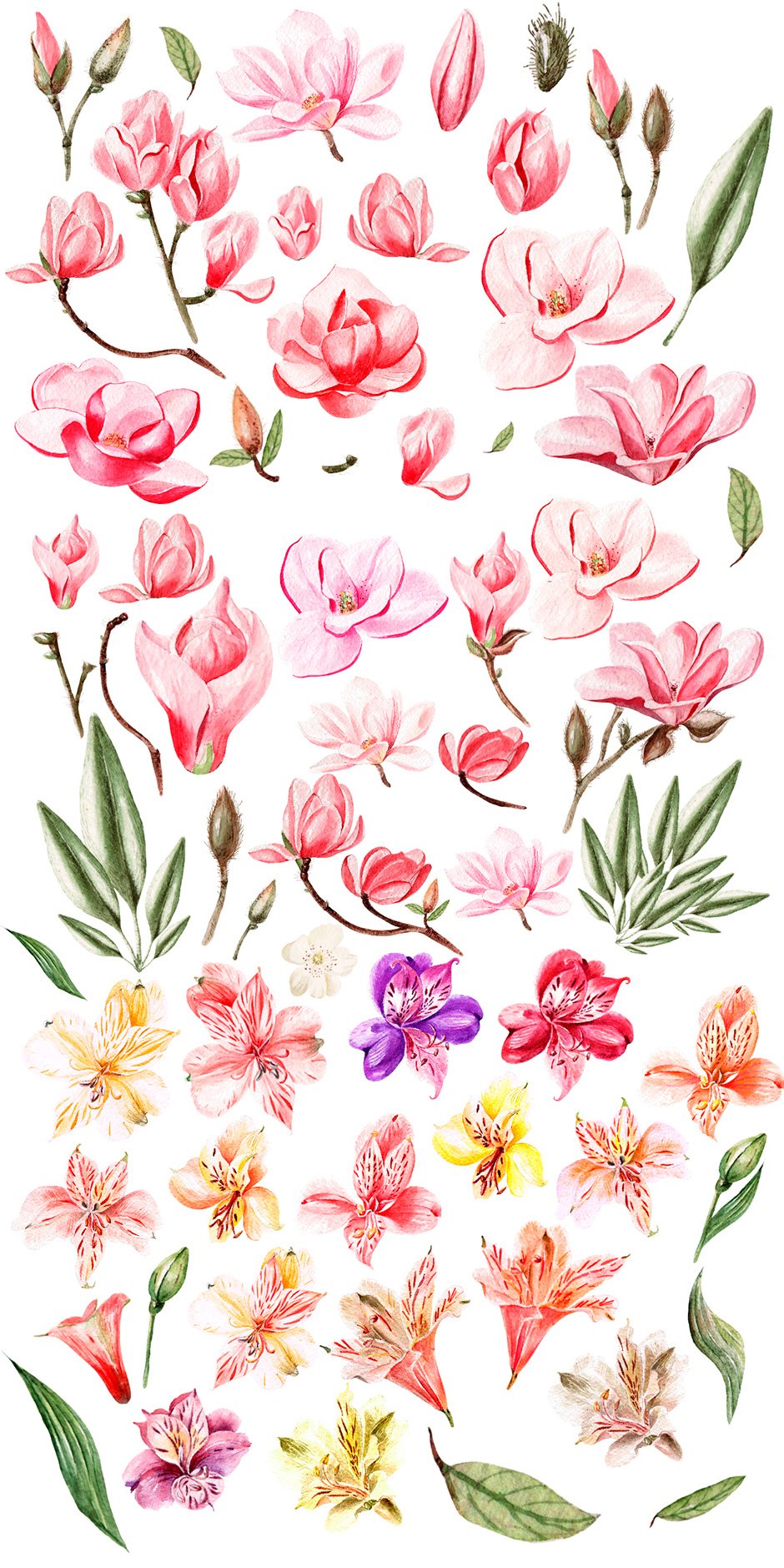 Hand-drawn Watercolor Bundle Flowers 3
