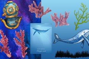 Illustrated, Underwater-themed Vectors and Textures