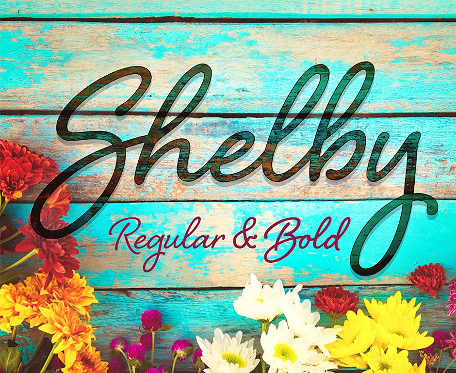 Shelby Font Family
