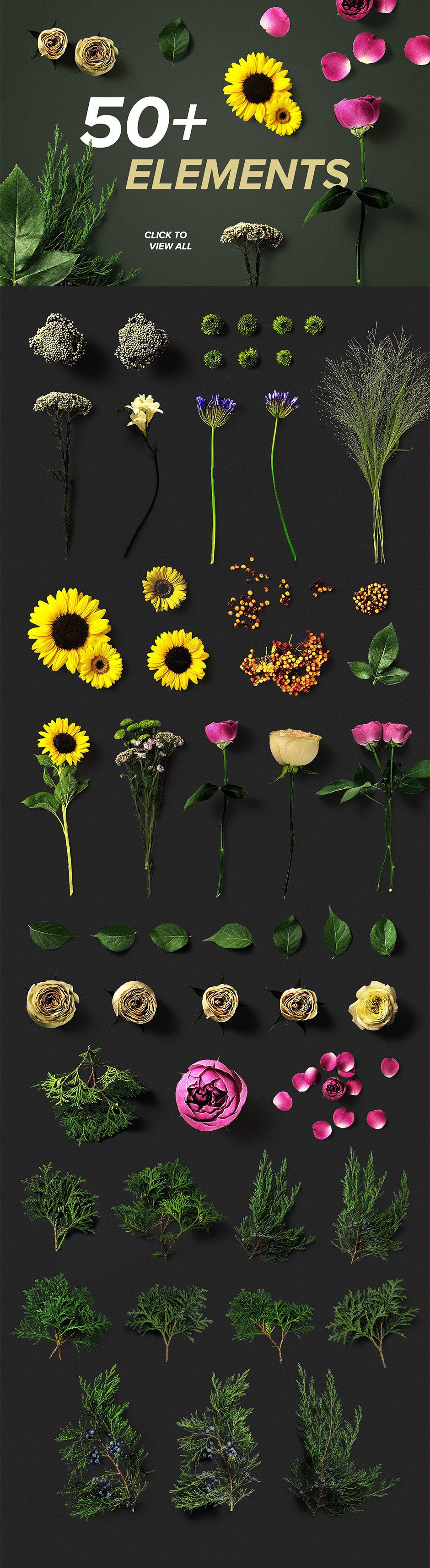 Flower Boom: Flower Graphics Pack