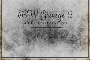 BW Grunge 2 Fine Art Textures