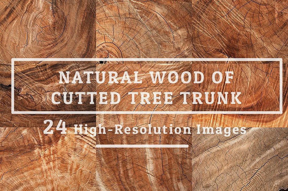 natural-wood-texture-of-cut-tree-trunk-cover-
