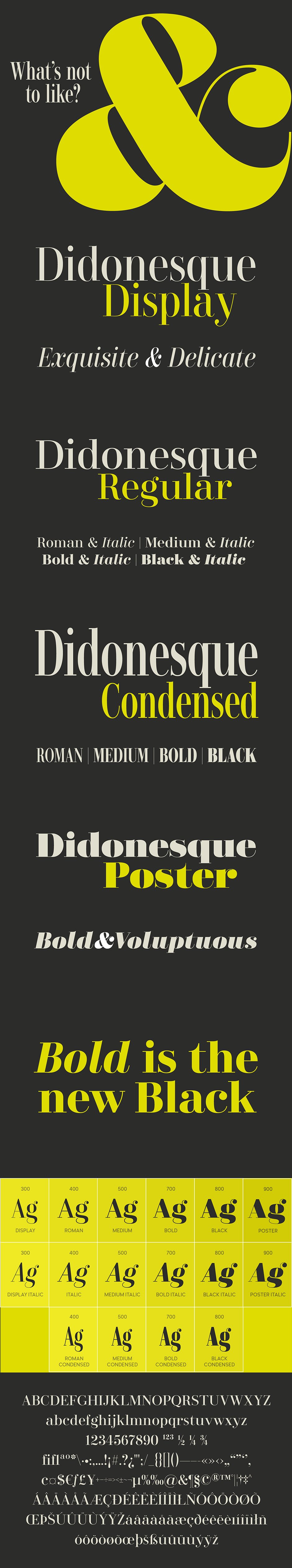 Didonesque Lite Font Family
