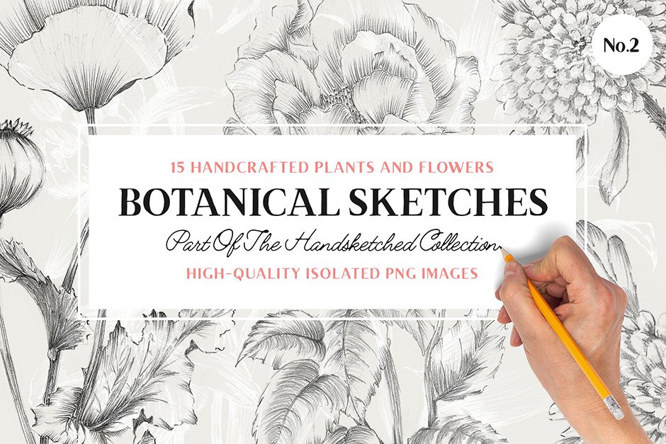 15 Handcrafted Floral Illustrations