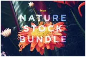 Nature Scenery Stock Bundle