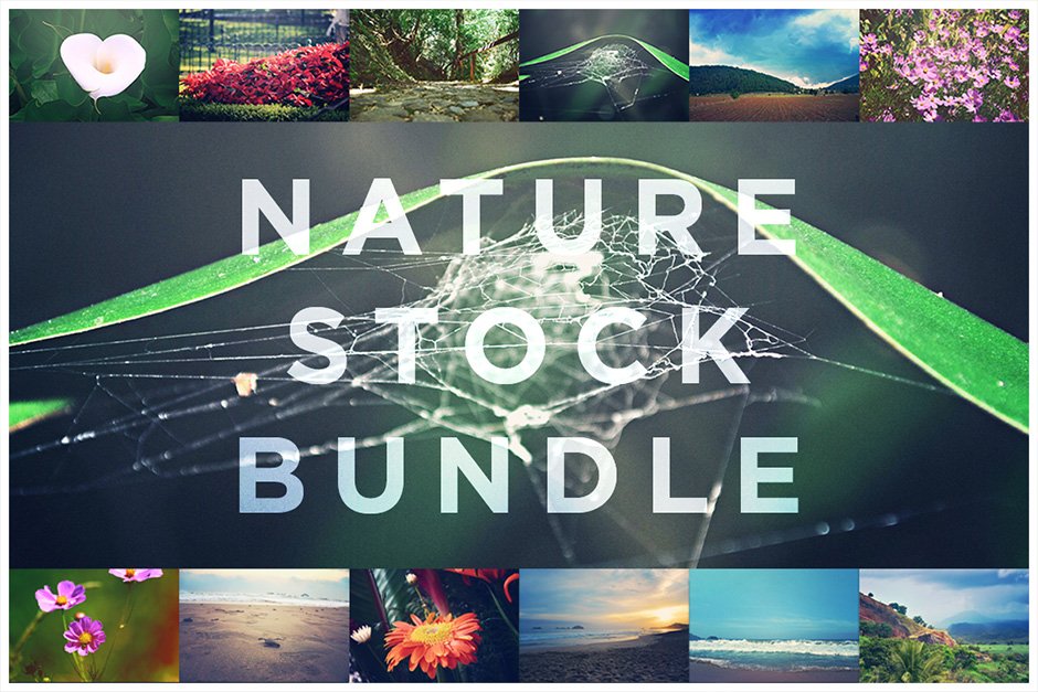 Nature Scenery Stock Bundle
