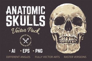 Anatomic Vector Skulls Pack