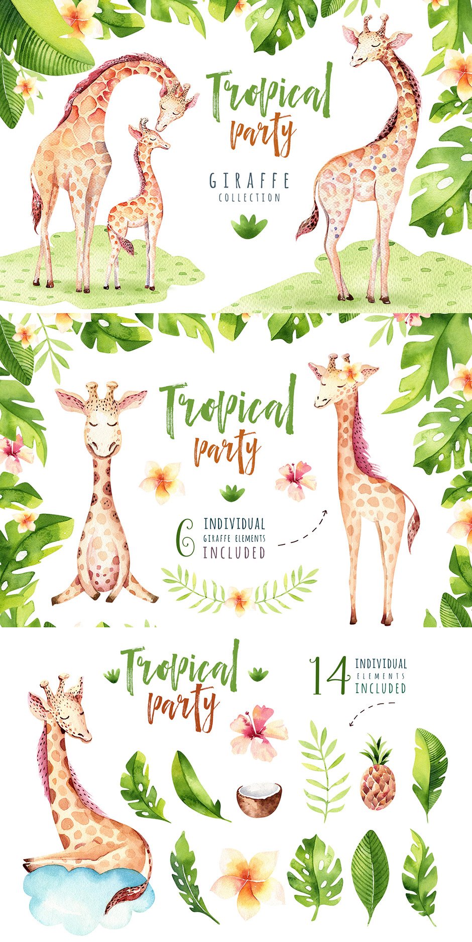 Giraffe Collection Tropical Illustrations Party
