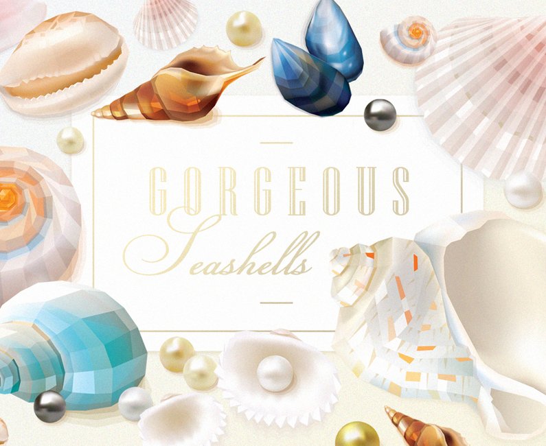 Gorgeous Seashells Elements & Patterns