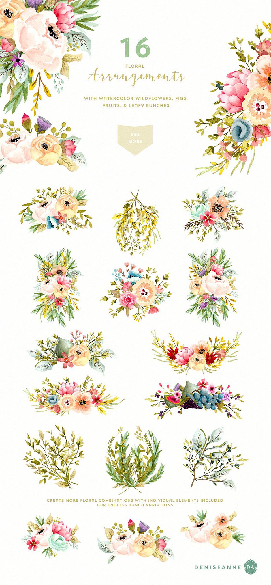 Mountainside Meadows Wildflowers: Floral Illustrations