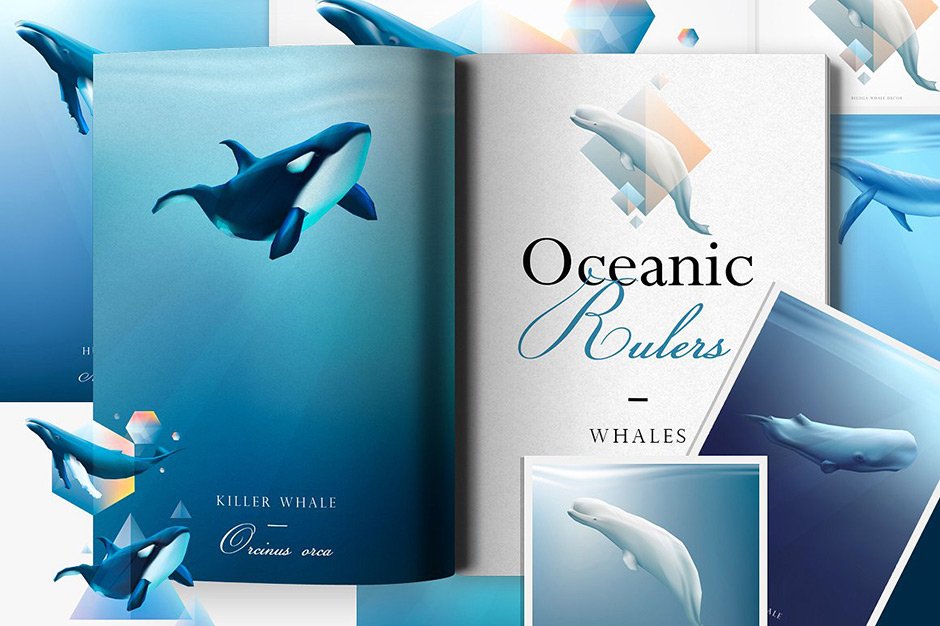 Oceanic Rulers Whale Graphics