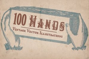 100 Vintage Hand Illustrations