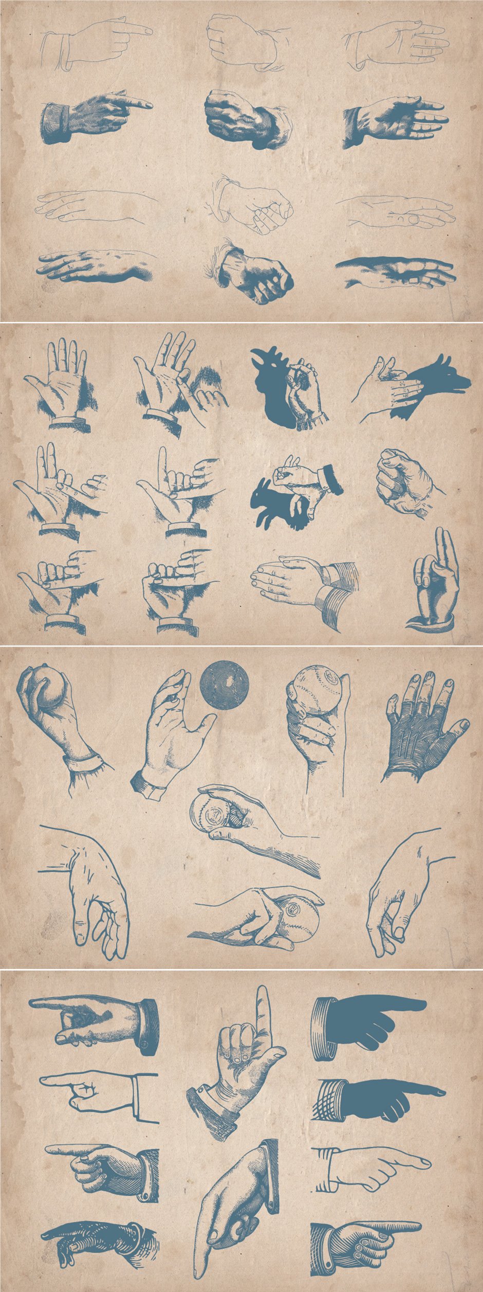 vintage hand illustrations