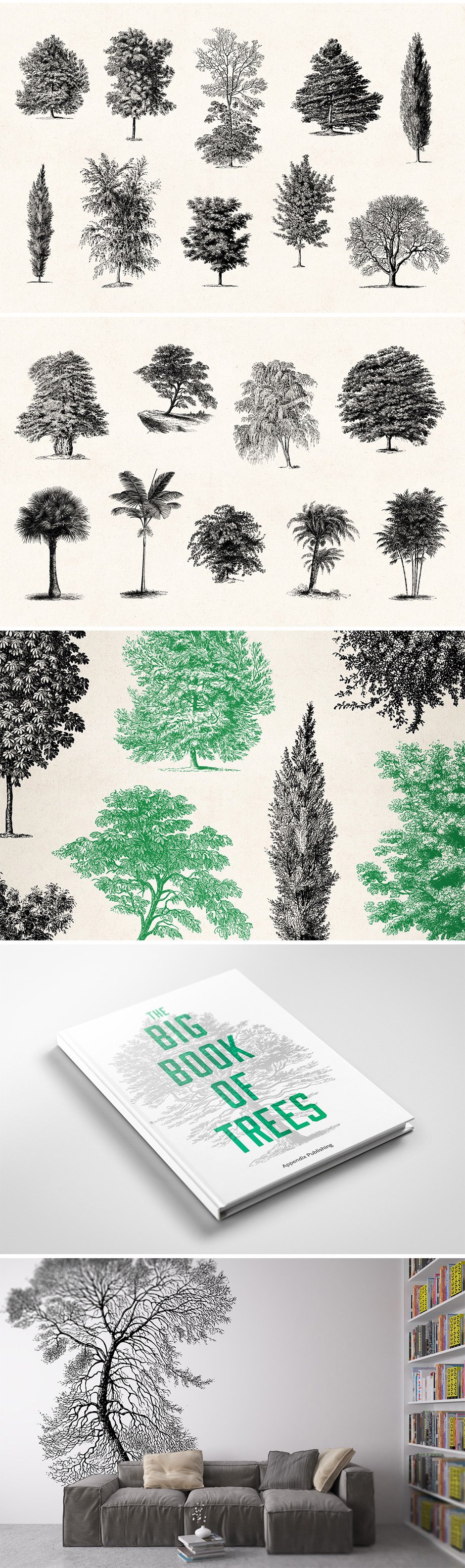…Vintage Tree Illustrations Set