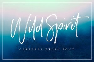 Wild Spirit Script Font