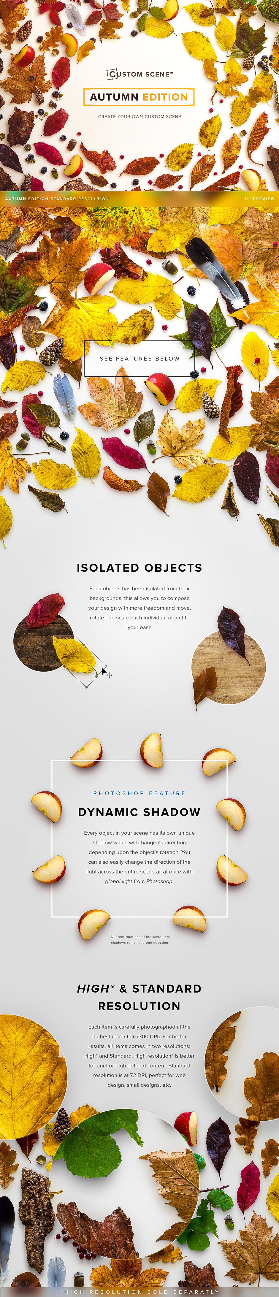 autumn objects