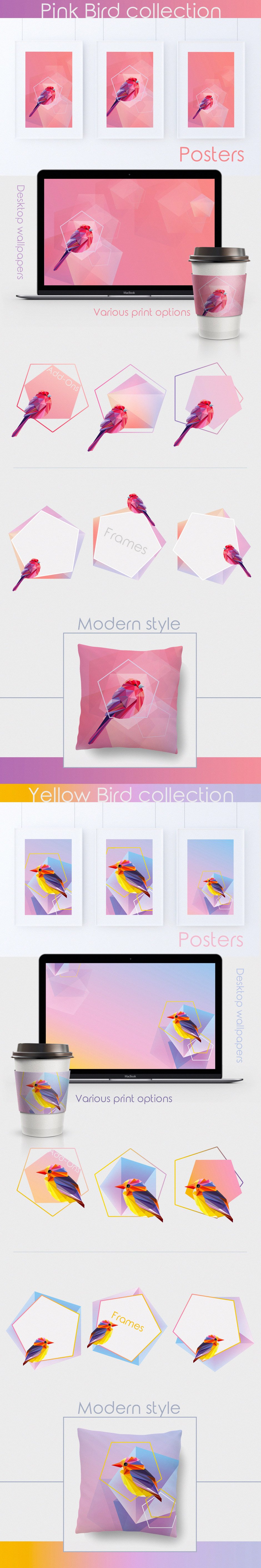 bird wallpapers