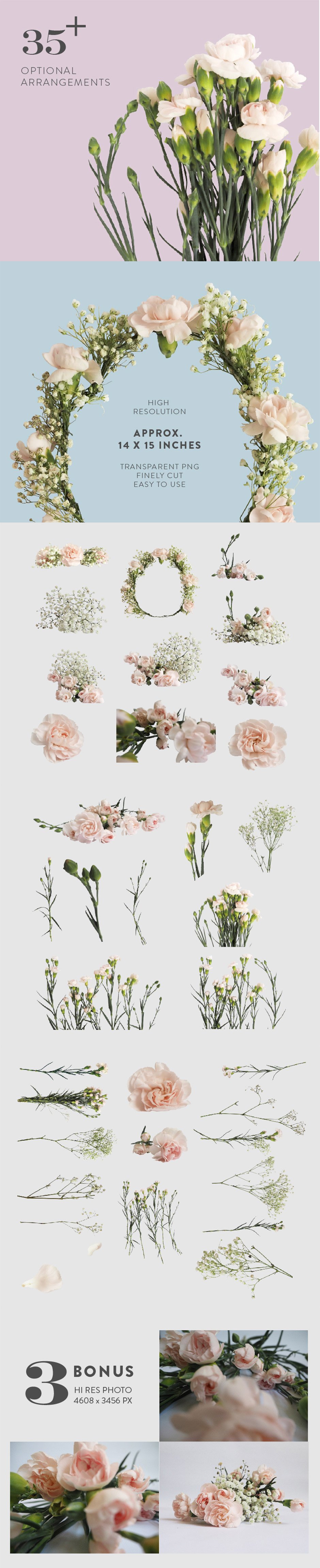 flower arrangement pngs