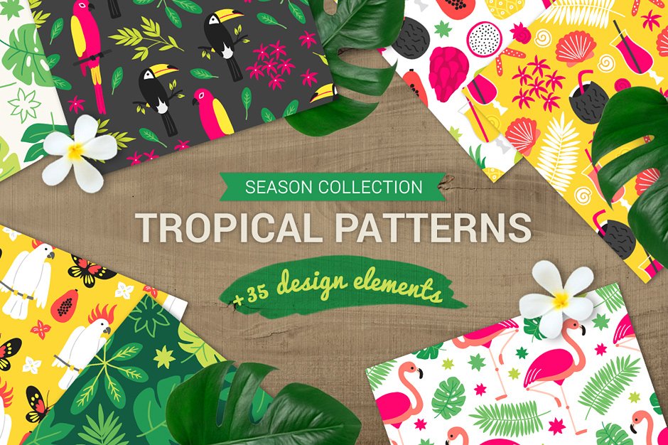 tropical patterns