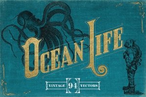Vintage Nautical Illustrations
