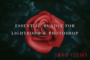 Essential Bundle for Lightroom and Photoshop