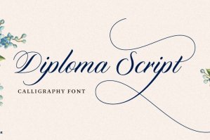 Diploma Script