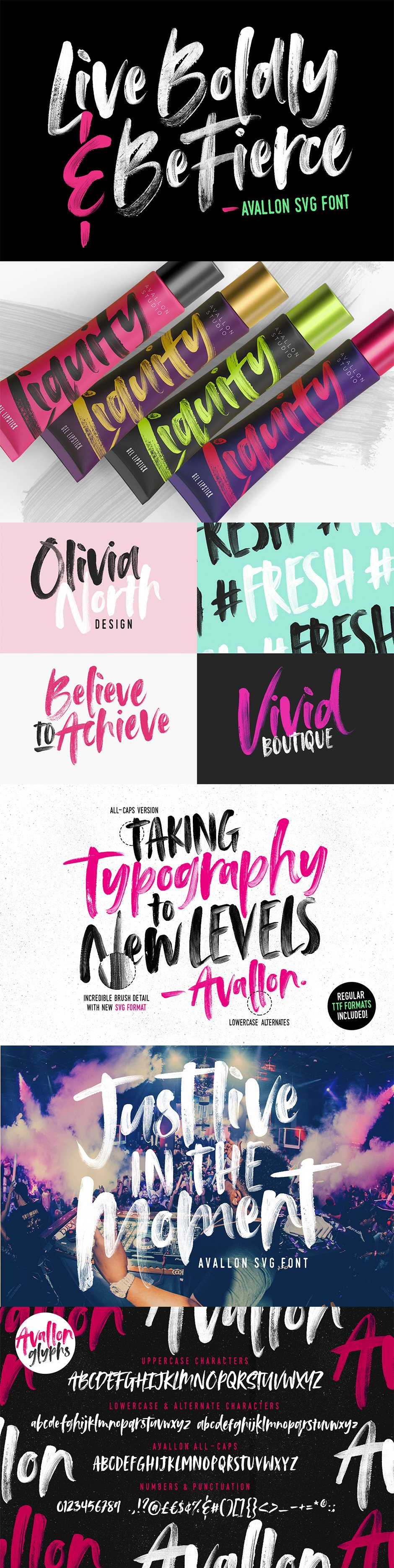 The Definitive Type Lovers Collection Font bundle