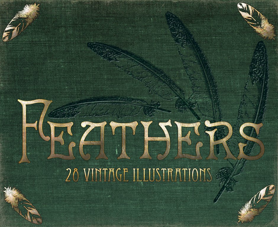 vintage feathers