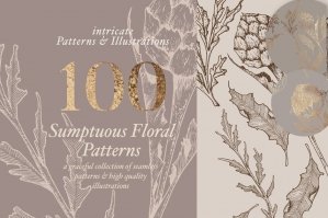 Floral Patterns & Illustrations