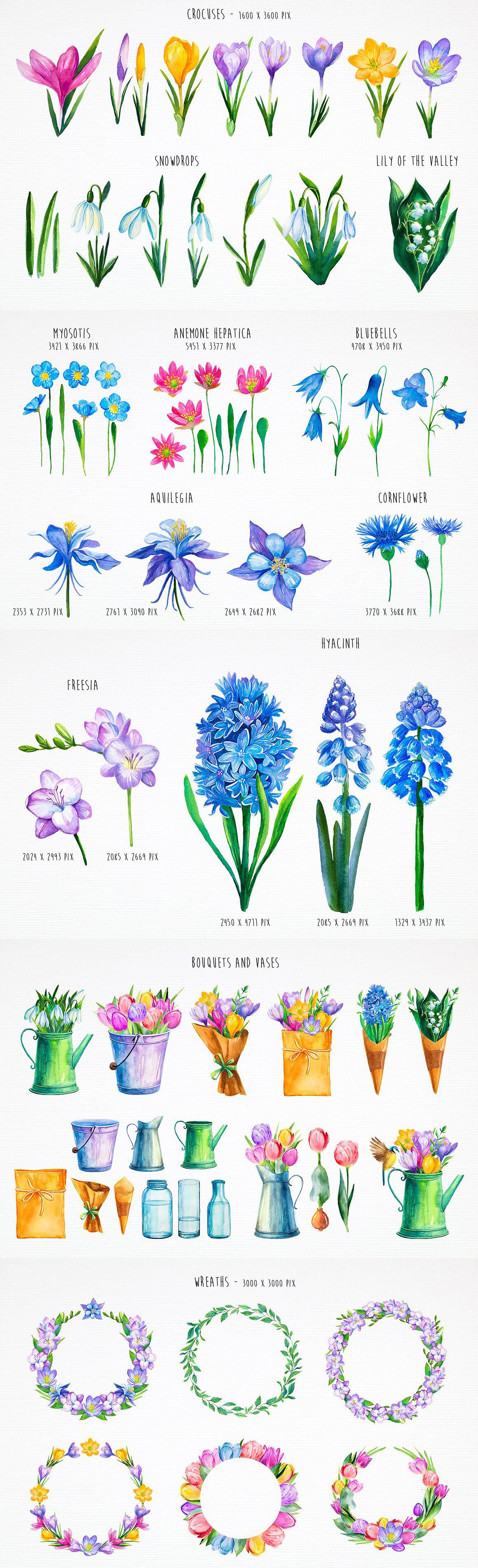 Spring Flowers Watercolor