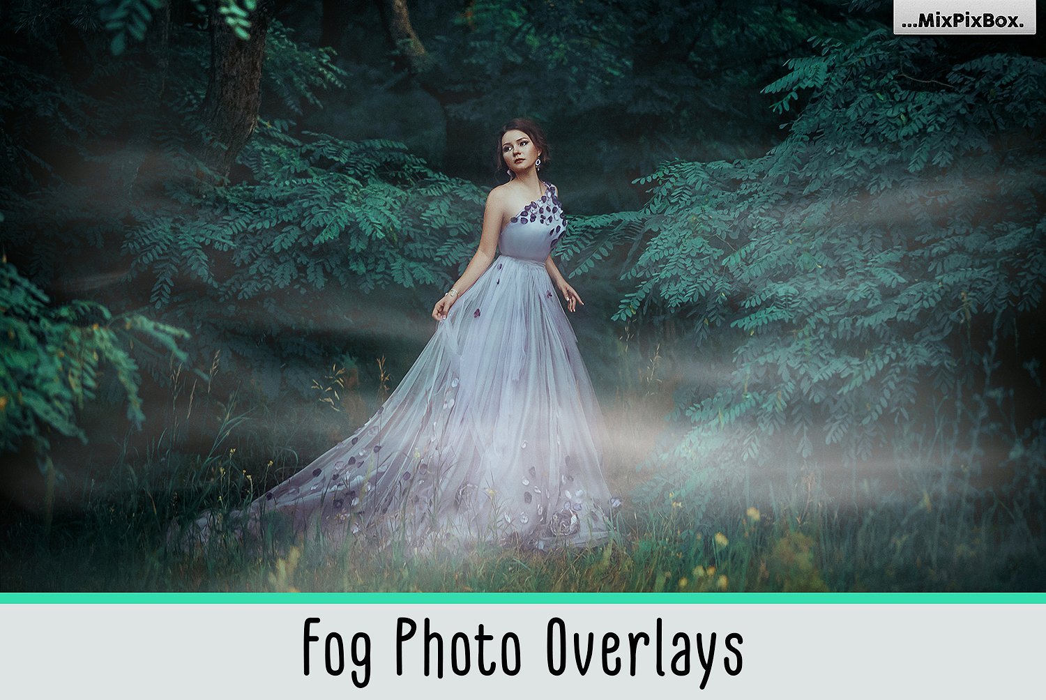 Fog Overlays