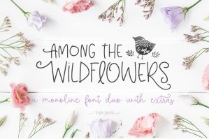 Among The Wildflowers