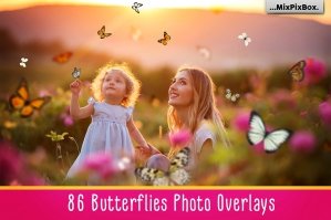 Butterflies Overlays