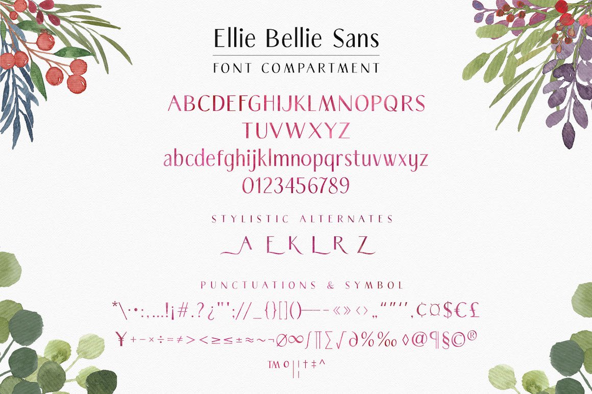 Ellie Bellie Font Duo