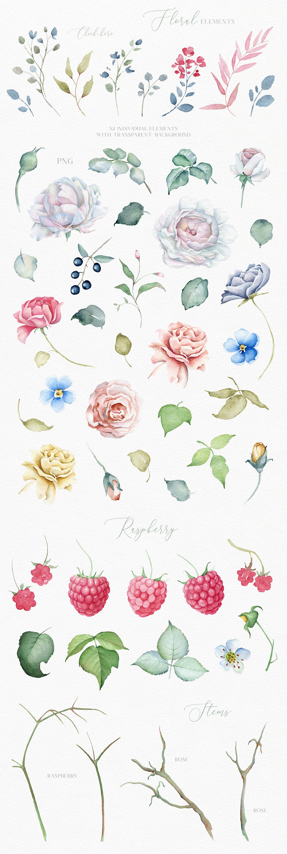 Delicate Watercolor Flowers