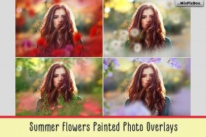 Summer Painted Flowers