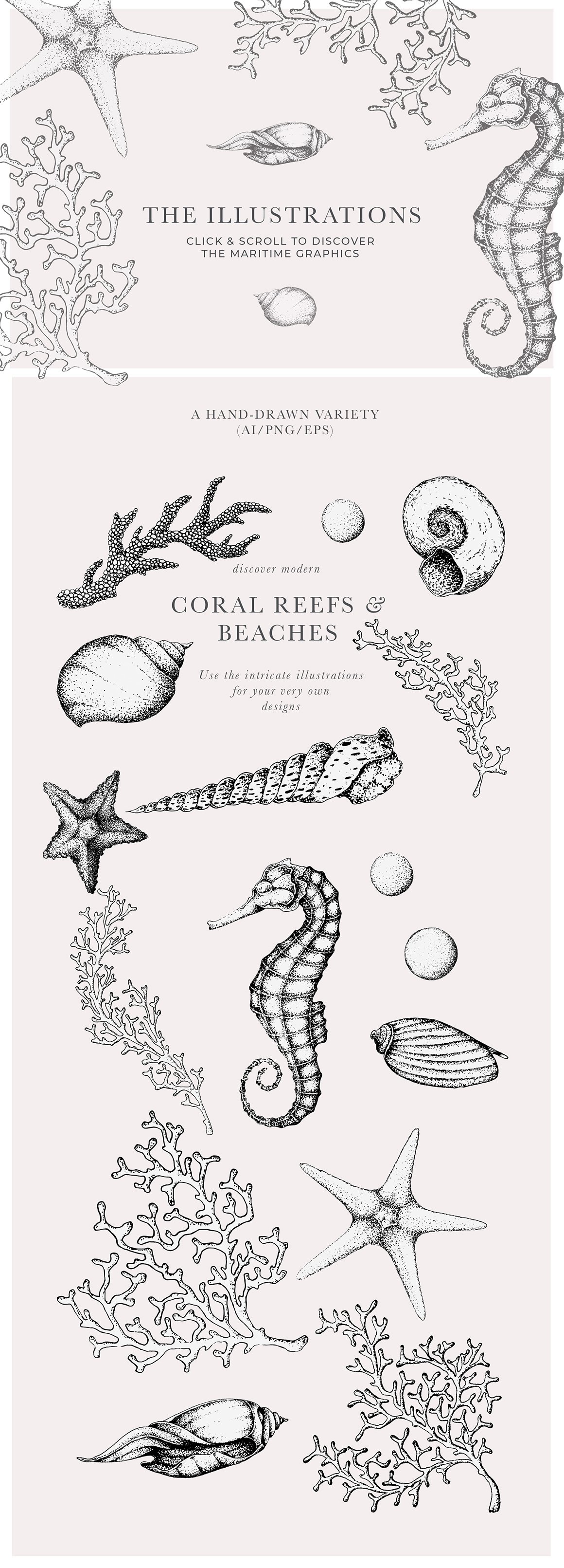 Coral Beach – Maritime Illustrations