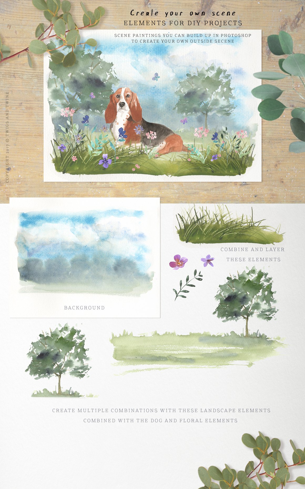 Muddy Paws Volume 2 – Watercolor Dog Graphics