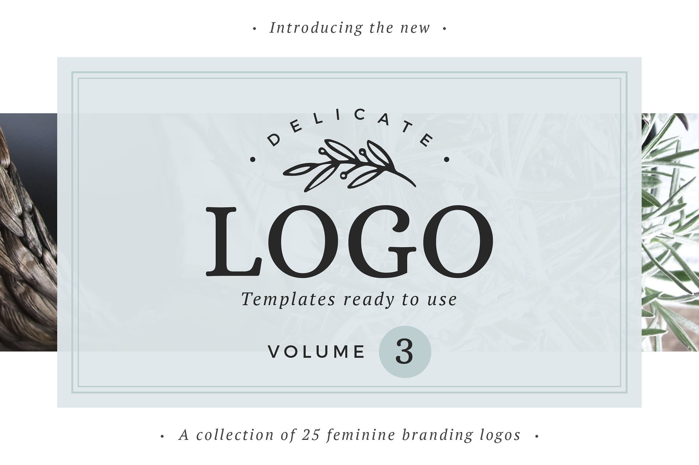 25 Delicate Feminine Logos: Vol 3