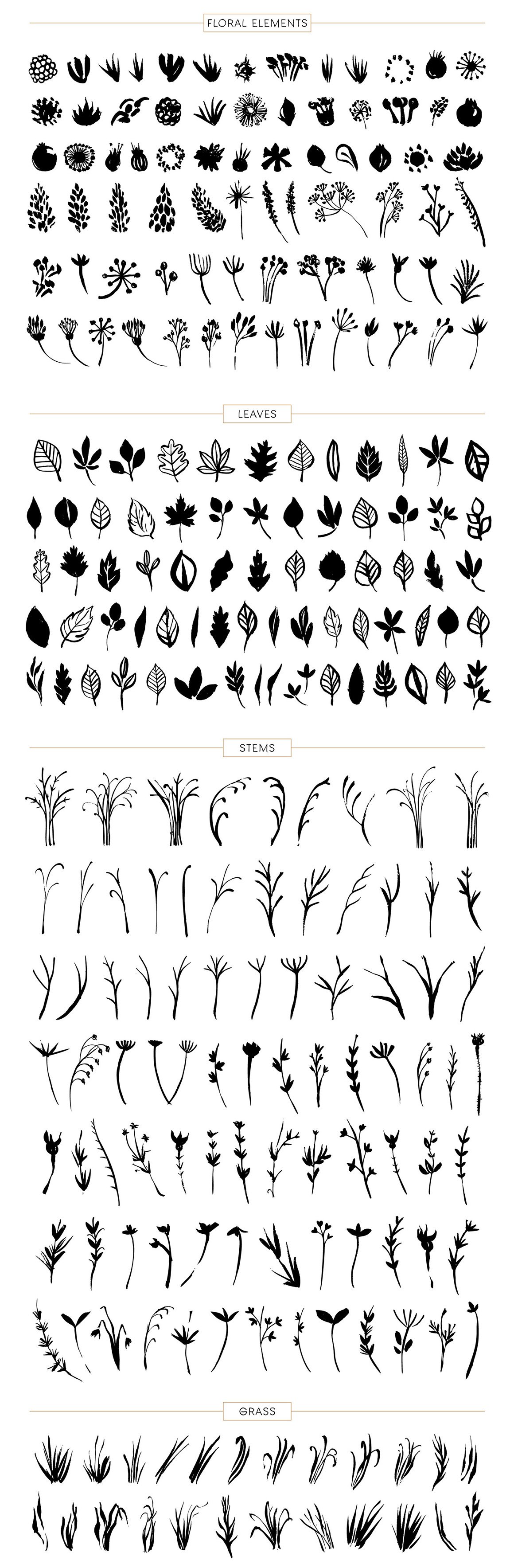 Floral Notes: 400+ Hand-Drawn Nature Elements