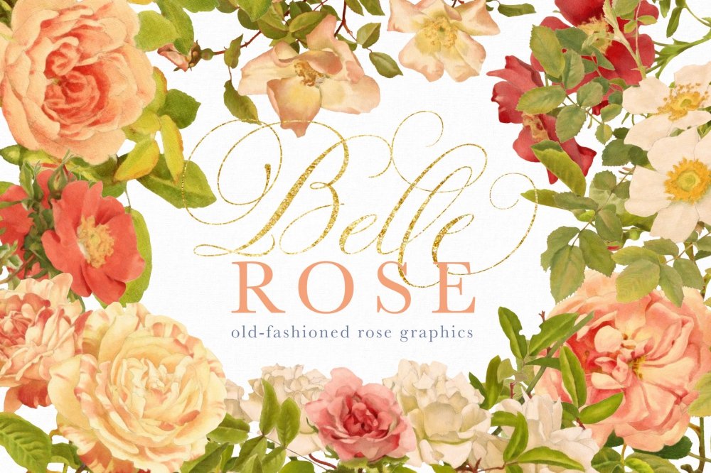 Belle Rose Antique Graphics Bundle