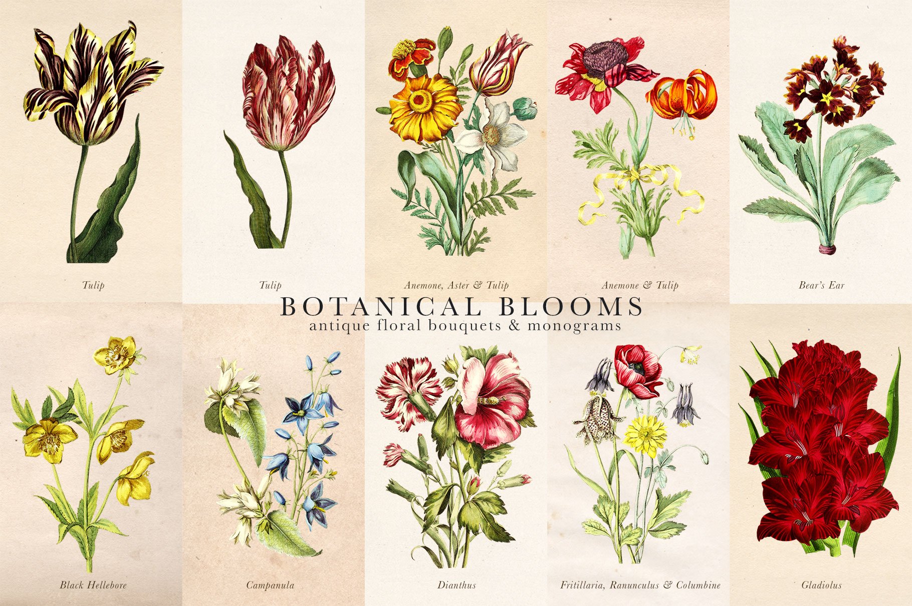 Botanical Blooms & Monograms