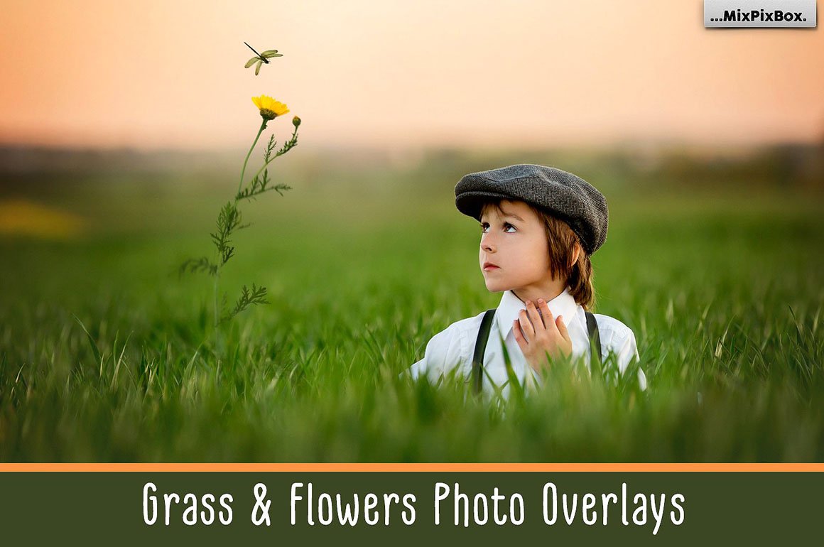 Grass and Flowers Photo Overlays