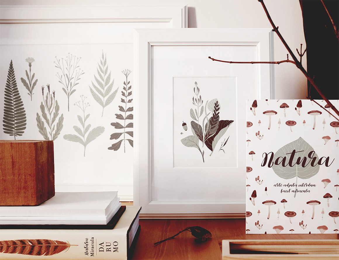 Natura Graphic Elements Pack