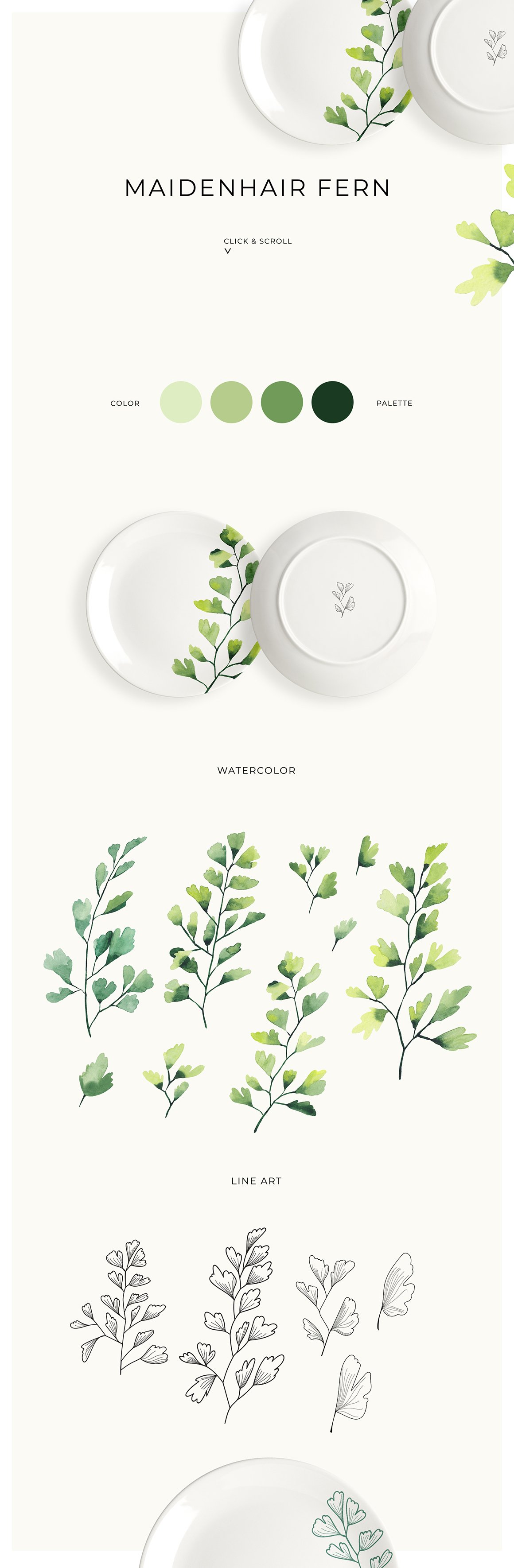 Trendy Greenery: Watercolor & Line Art Collection