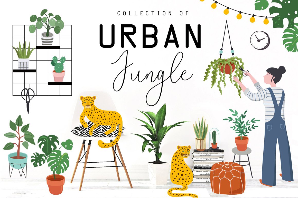 Urban Jungle Collection