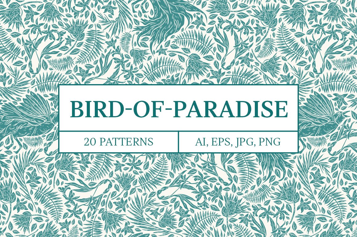 Bird Of Paradise Patterns